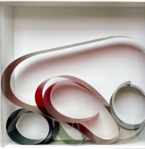 Nathalie Junod Ponsard - Indéfiniment Serpentinata