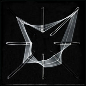 org-geom-300x300
