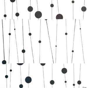 Carlos MEDINA - Neutrinos dimensionnels