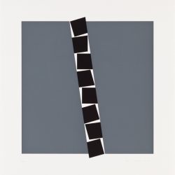 John Carter - Eight identical shapes 82°